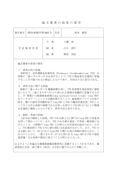 審査要旨（PDF/80KB）