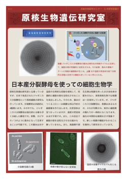 資料 (PDF:806KB)