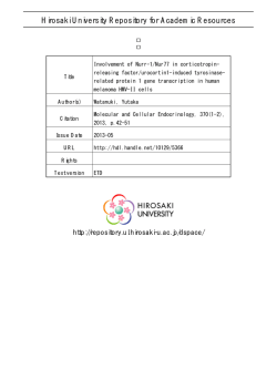 見る/開く
