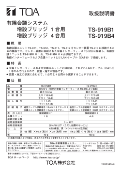 TS-919B1 TS