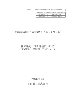 柏崎刈羽原子力発電所6号及び7号炉確立論的リスク評価