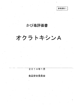 （平成26年1月27日付け府食第94号）（PDF：6914KB）