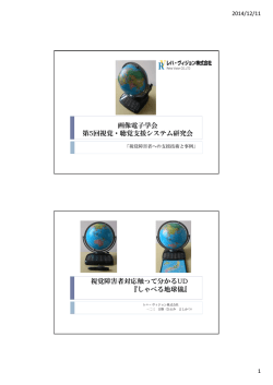視覚障害者対応触って分かるUD「しゃべる地球儀」 - y