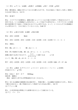 解答例