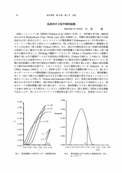 舌し流中の2粒子相対拡散