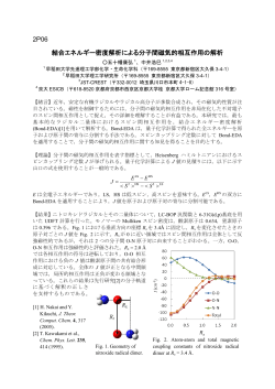 2P06 結合エネルギー密度解析による分子間磁気的相互作用の解析