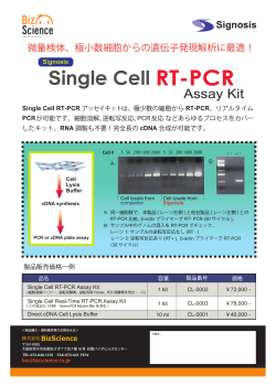 Single Cell RT-PCR