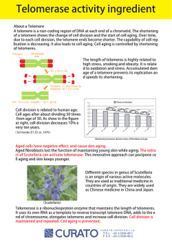 Teー。merase activity ingredient