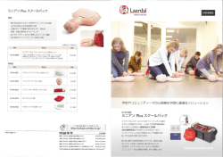 ミニアン Pーus スクールバック