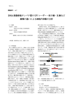DNA 損傷修復タンパク質のUV レーザー・粒子線・X 線など 線種の違い
