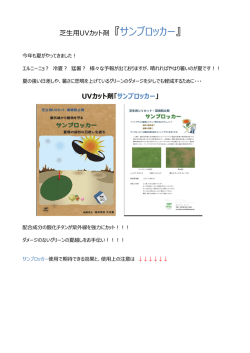 UVカット剤「サンブロッカー」 芝生用UVカット剤 『サンブロッカー』