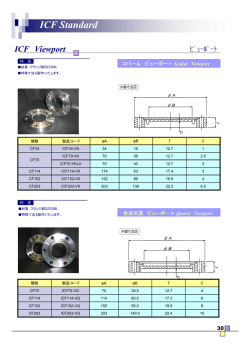 ICF Standard