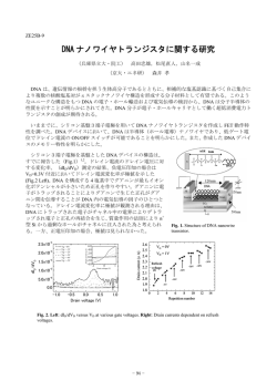 DNA ナノワイヤトランジスタに関する研究