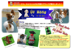 詳しくはこちらのチラシ（PDF）をご覧ください。
