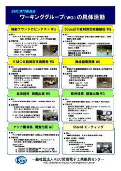 ワーキンググループ（WG）の具体活動