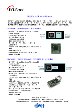 株式会社アイヴィス