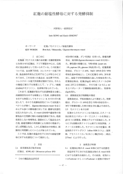 PDFファイル