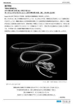 Eiji Yuzawa press release