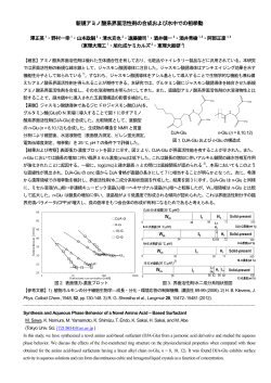 新規アミノ酸系界面活性剤の合成および水中での相挙動