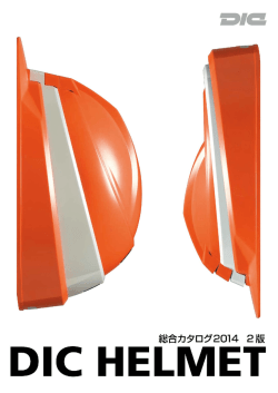DーC HELMET