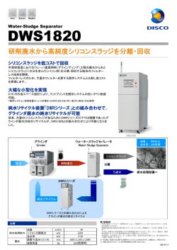 DWS1820