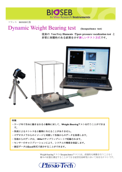 Dynamic Weight Bearing test