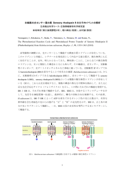 e\.TCG..XgsbNX Tamogami BJ\Tamogami_BJ2010_ScienceTopics.do
