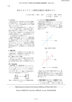東京スカイツリーの剛性非線形の数理モデル