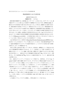棒渦巻銀河における星形成 - CfCA