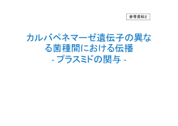 カルバペネマーゼ遺伝子の異な る菌種間における伝播 - プラスミドの関与 -