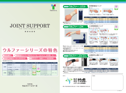 JOINT SUPPORT