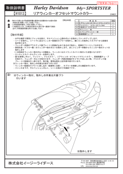 リアウィンカーオフセットマウントカラー XL用
