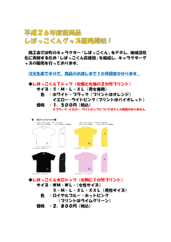 詳細（PDF）