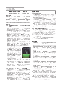 詳細PDF
