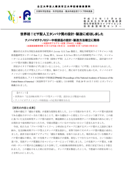 世界初！ピザ型人工タンパク質の設計・製造に成功しました