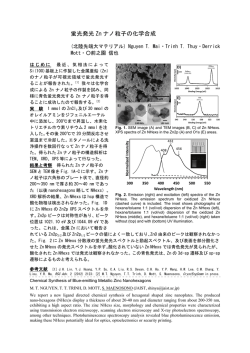 蛍光発光 Zn ナノ粒子の化学合成