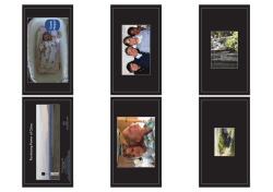 EcoProcura 2014 - Gunter Pauli Presentation pdf