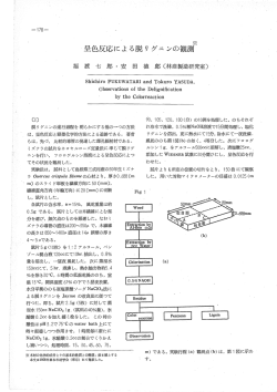 薫許）荒：；肋