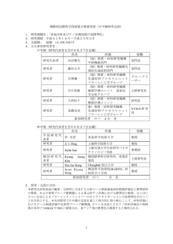 表面分析及びナノ計量技術の前標準化（PDF：312kb）