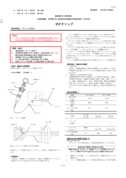 PDFファイル