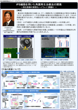 iPS細胞を用いた角膜再生治療法の開発（PDF：382KB）