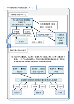 医療意見書及び指定医指定の流れ（PDF：134KB）