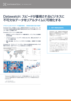 Datawatch カタログ - XLsoft Corporation