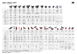 LIGHT / SAFETY LIGHT