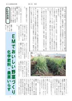 E M の 活 用
