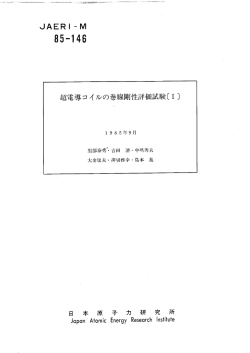 JAERI-M-85-146:1.11MB