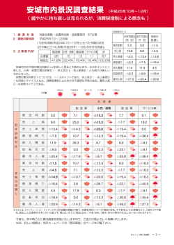 詳細はこちらをご覧ください（PDF）