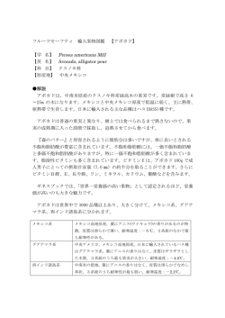 フルーツセーフティ 輸入果物図鑑 【アボカド】 【学 名】 Persea americana