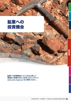 Mineral (鉱物資源) (pdf 365 kb)