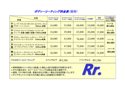 ボディーコーティング料金表（税別）